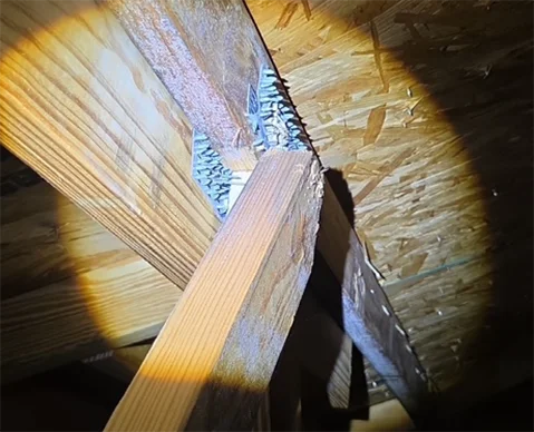 Home Inspection Identifying Damage In Attic